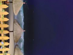 -亚龙湾希尔顿自助餐厅·海鲜·烧烤·沙滩BBQ·现场乐队