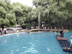 -大鹅岛绿色生态美食园