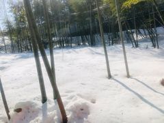 -径山寺