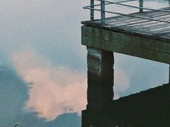 -贡湖湾湿地公园