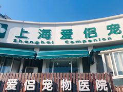 -爱侣宠医·鹦鹉专科·小型哺乳类·异宠专科(灵石路店)