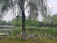 -汉梁文化公园