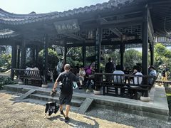 -金庸书院
