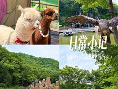 -参仙谷生态旅游度假区