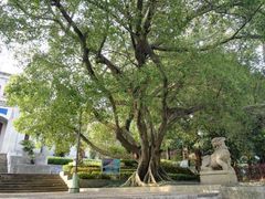 -中山纪念堂