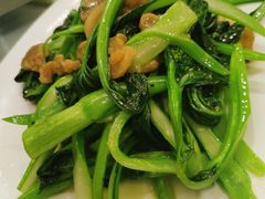 油渣炒菜心-一品红川菜(皇岗店)