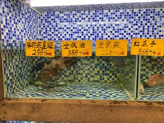 -顺德了能馆(虎门店)