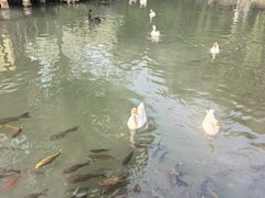 -天毓山庄·餐厅