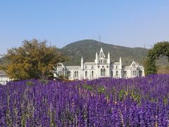 -玫瑰海岸文化旅游度假区