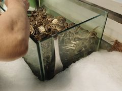 -圣罗巴甄选自助(麦凯乐店)