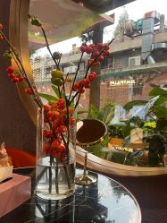 -花隐·美芙炫海菲秀皮肤管理中心