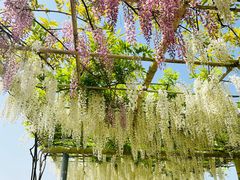 -下渚湖国家湿地公园科普馆