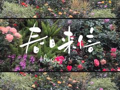 -人民公园(罗湖区)