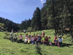 -武陵山森林公园