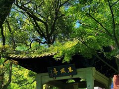 -杭州花家山庄