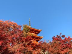 -有栖山 清光院 清水寺