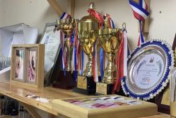 点击看大图 -轻妆Feel·半永久纹眉眼线