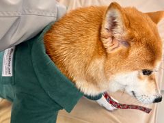 -怪兽屋·羊驼·猫咖·狗咖(俊华广场店)