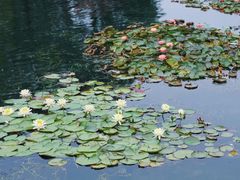 -上海辰山植物园