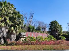 -洱海月湿地公园