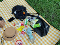 -上海共青森林公园