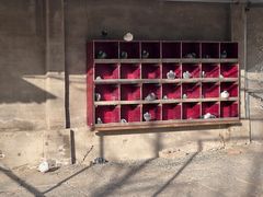 -意大利农场度假村