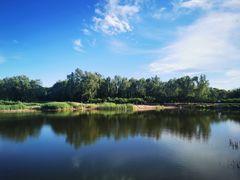 -永定河休闲森林公园