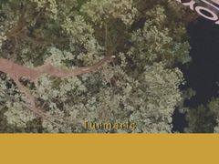 -Devils’ Brewery小恶魔精酿啤酒(武汉天地店)