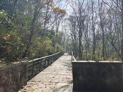 -西湖风景区-江洋畈生态公园