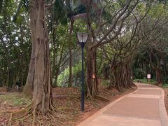 -白沙门生态公园