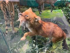 -国家自然博物馆