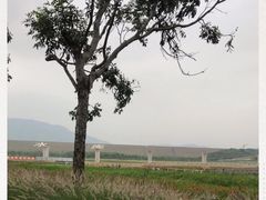 -光明小镇欢乐田园