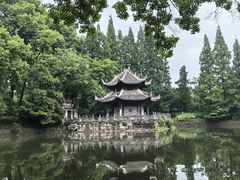 -习家池