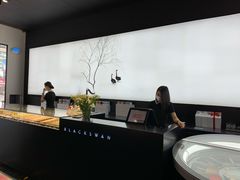 -BLACKSWAN黑天鹅(环球店)