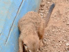 -英西峰林·洞天仙境