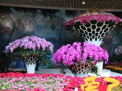 -花之城