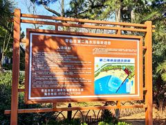 -青岛第二海水浴场