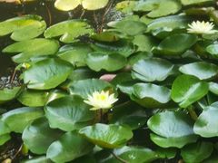 -杭州张苍水先生祠