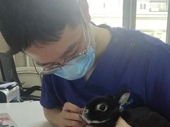 -北京观赏动物医院·24小时大型综合·猫专科·异宠专科