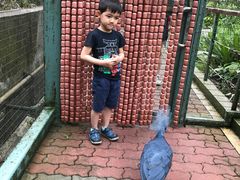 -新加坡飞禽公园