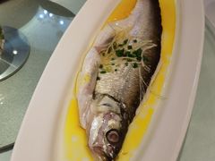 鸡汁太湖白鱼-中心大酒店·本味餐厅