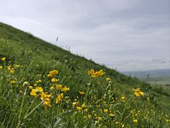 -新疆那拉提国家旅游度假区