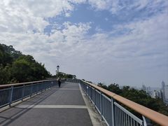 -金鸡山公园