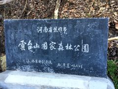 -云台山风景名胜区