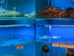 水产区-协成海鲜火锅(海洋花园店)