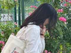 -羊山湖公园