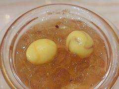 -锦粤宫·精致粤菜(深圳北站店)