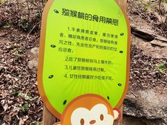 -大岭沟猕猴桃谷风景区