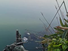 -乡乐园蟹庄·阳澄湖农家乐