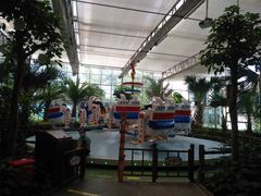 -南宫五洲植物乐园